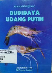 Budidaya udang putih