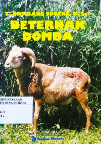 Berternak domba