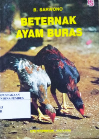 Berternak ayam buras