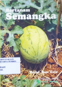 Bertanam semangka