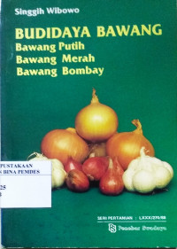 Budidaya bawang putih, merah dan bombay