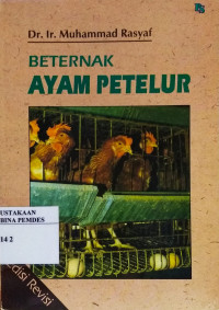 Berternak ayam petelur