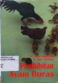 Pembibitan ayam buras