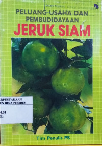 Peluang usaha dan pembudidayaan jeruk siam